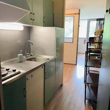 Pied De Pistes Tour De La Biche Апартаменты *