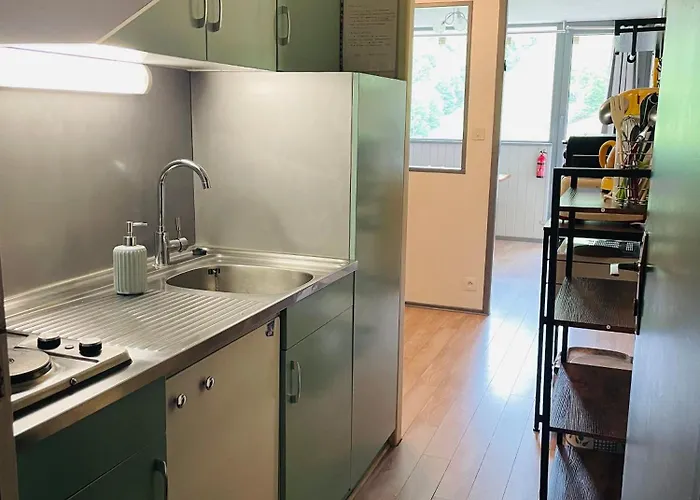 Pied De Pistes Tour De La Biche Апартаменты *